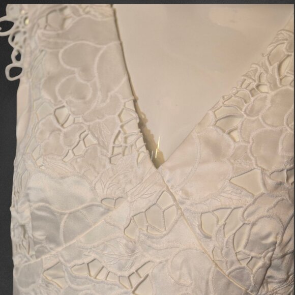 ANTONIO MELANI Lace Dress sz 8 Easter Spring Wedding Shower - Picture 8 of 9